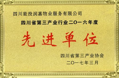 能投润嘉物业公司荣获四川省第三产业先进单位表彰